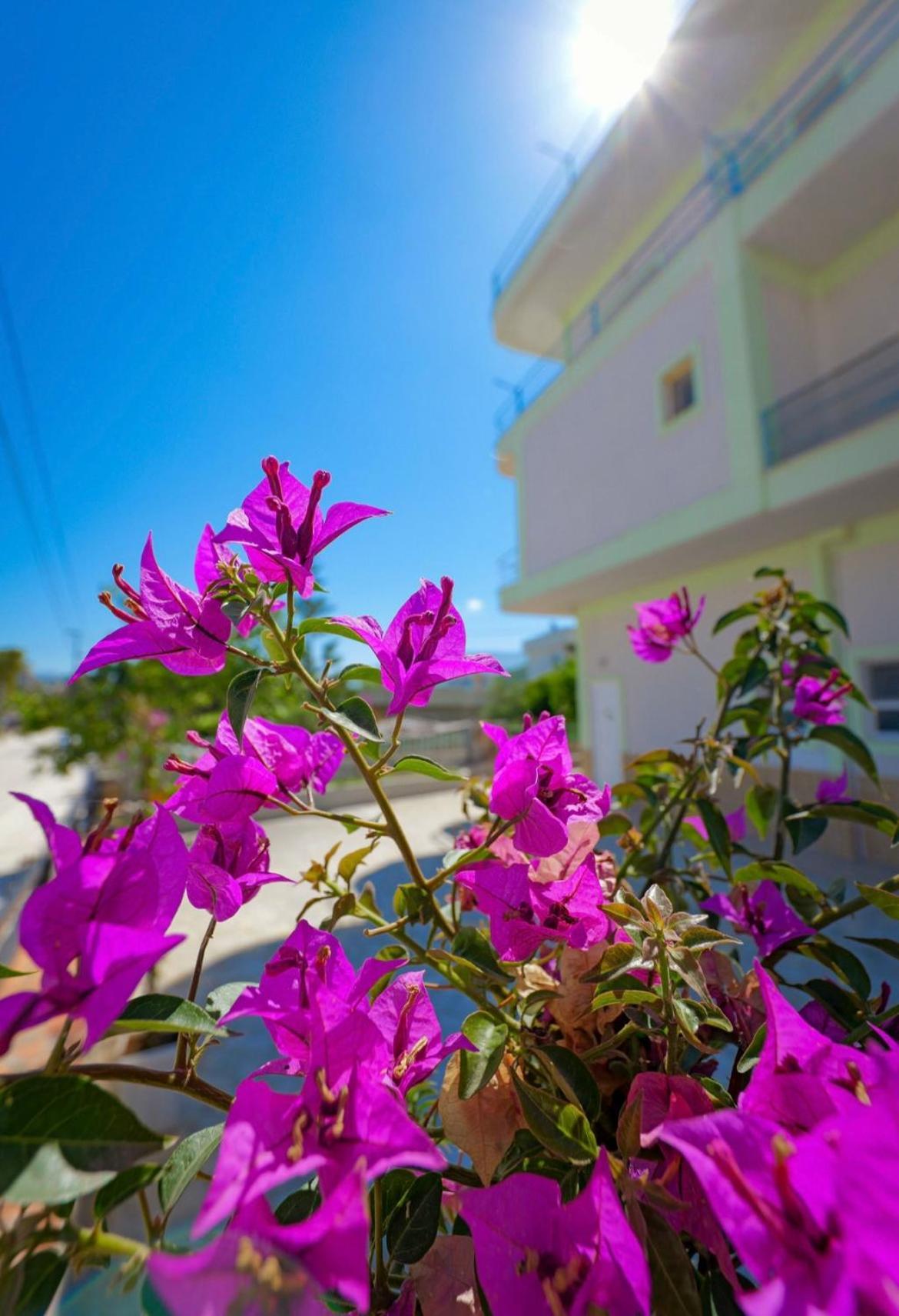 Sunflower Hotel Ksamil Kültér fotó