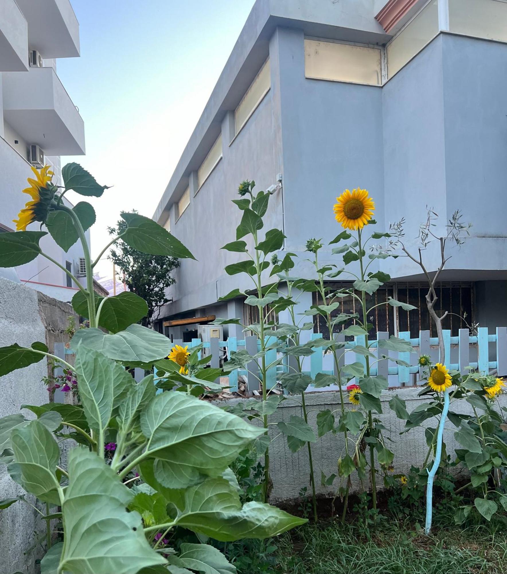 Sunflower Hotel Ksamil Kültér fotó